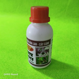 WHITE ROOT - SIÊU KÍCH RỄ BÁO HỶ 100ml