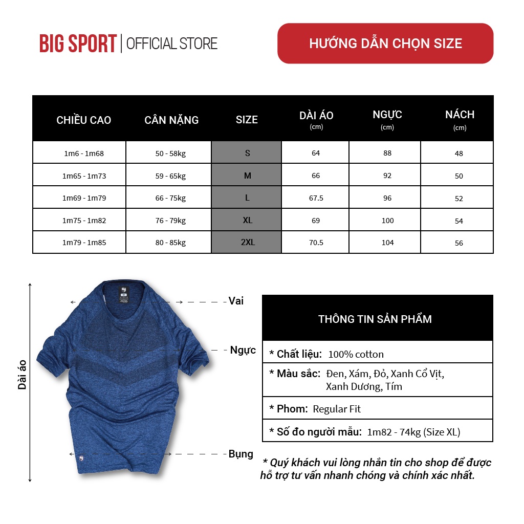 Áo Phông Thể Thao Tập Gym Vải Thun Cao Cấp Mặc Ở Nhà  Co Giãn 4 Chiều Thấm Hút Mồ Hôi-  Bigsport BS08