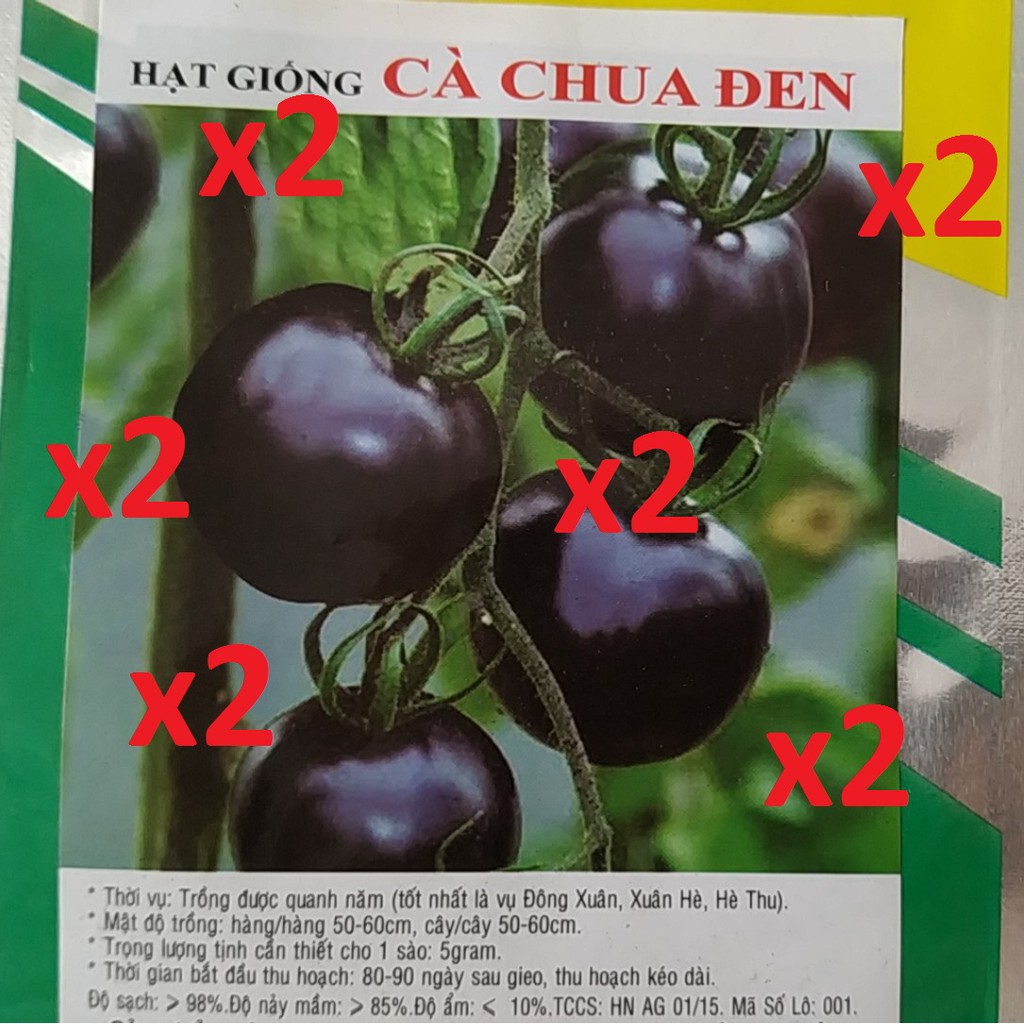 COMBO 2 Gói Cà Chua Đen Thơm Ngọt TẶNG 10 VIÊN NÉN XƠ DỪA để gieo hạt