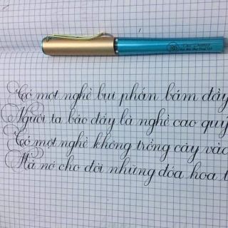 Bút mực Đại Dương ngòi kim tinh lá tre thần thánh 👌👌