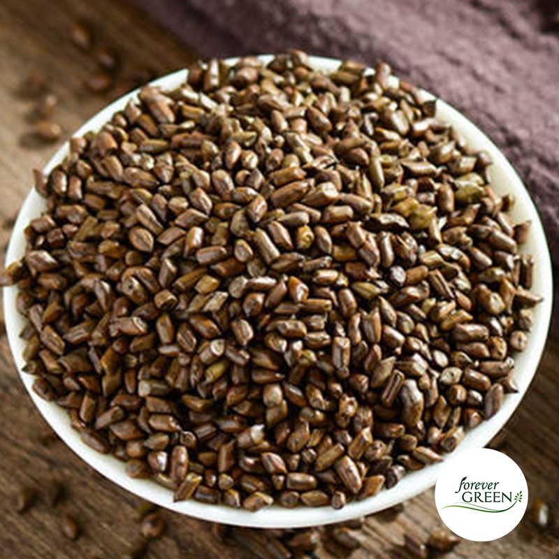 1KG Thảo quyết minh điều trị mất ngủ, sáng mắt nhuận tràng - FG130