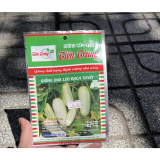 Hạt giống dưa leo bạch tuyết gói 0.5gr