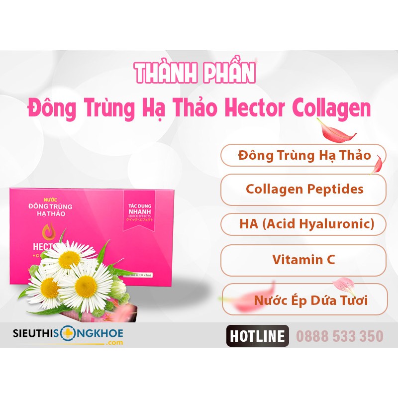 Nước Đông Trùng Hạ Thảo Hector Collagen Hộp 10 Chai Hector Cordyceps Collagen | BigBuy360 - bigbuy360.vn