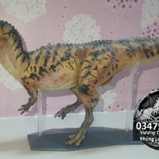 Mô hình khủng long Ceratosaurus hãng PNSO