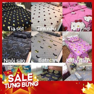 Bộ 1 ga chun và 2 vỏ gối cotton poly, chat chọn mẫu. - ms18
