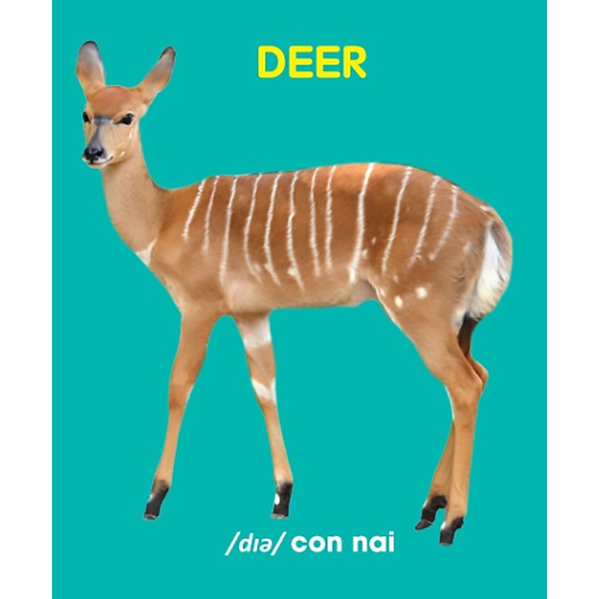 Sách - Bách khoa toàn thư cho bé - Động vật hoang dã