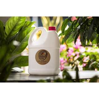 Nước rửa tay cocachua