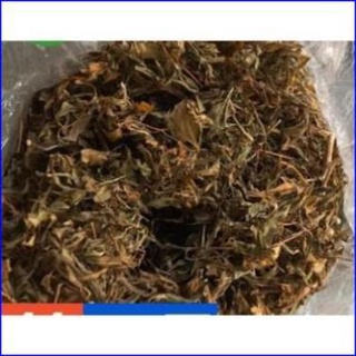 500gr lá đinh lăng khô thơm ngon chuẩn xịn