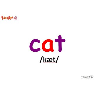 Flashcard lớp 1 ABC English
