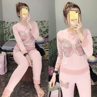 Bộ nỉ