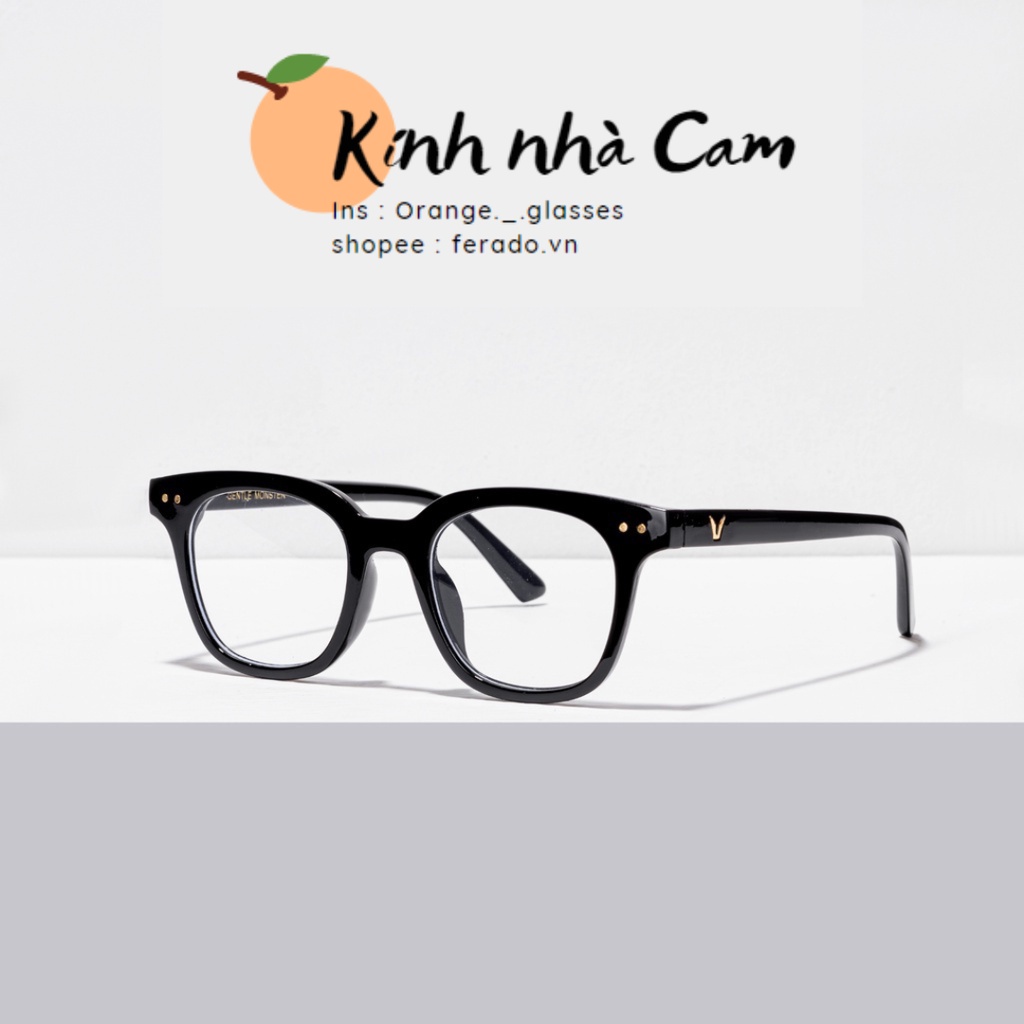 Gọng kính chữ V cho nam nữ mã 13 ( tặng kèm hộp đựng kính )