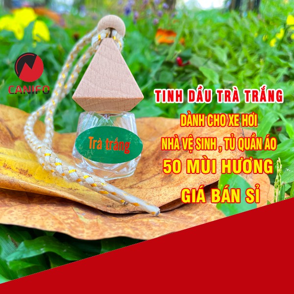 Tinh dầu treo TRÀ TRẮNG CANIFO thơm thanh khiết - HÀNG CÔNG TY nhập khẩu ẤN ĐỘ có kiểm định COA