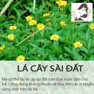 MUỐI TẮM ĐỘC MỘC