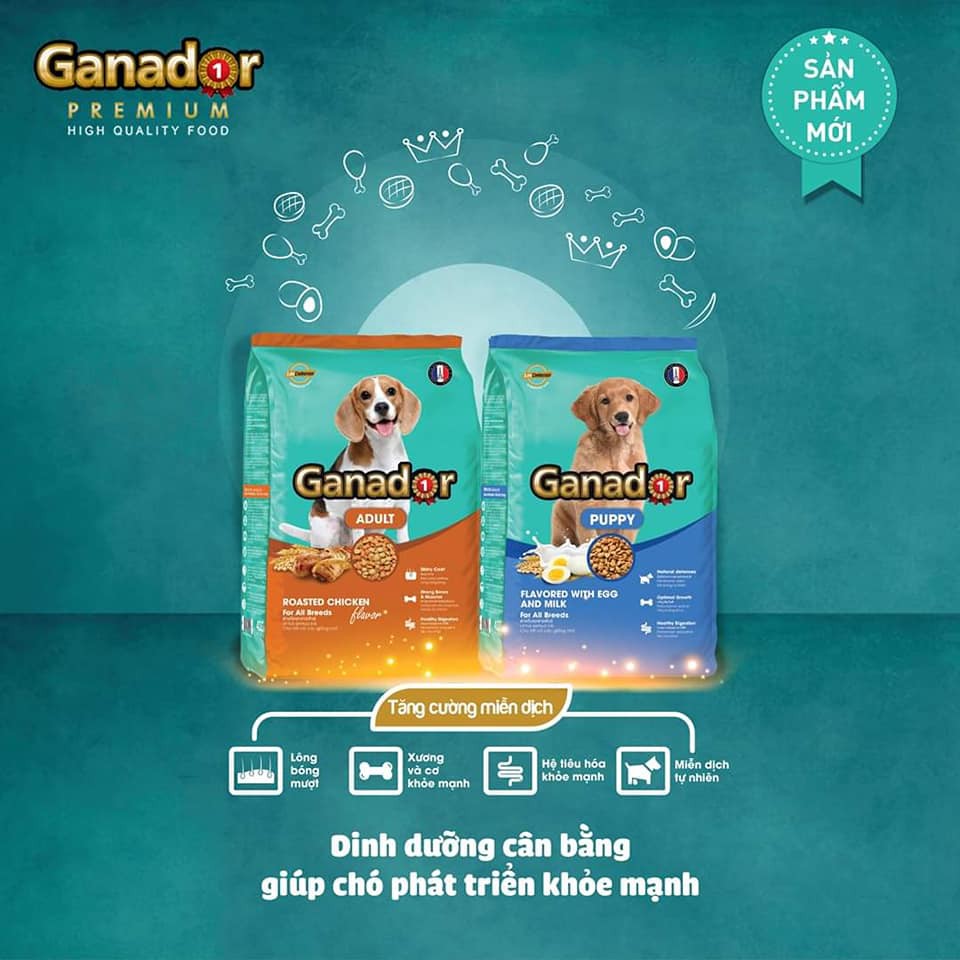 [Combo 5] Thức ăn cho chó trưởng thành Ganador vị gà nướng - Adult Roasted Chicken Flavor 400gr/gói - Lida Pet Shop