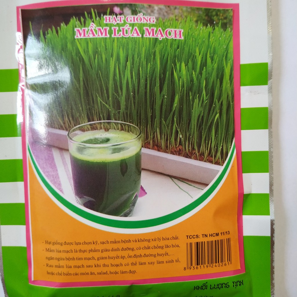 Hạt giống MẦM LÚA MẠCH
