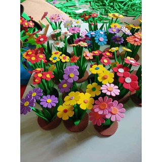 Rau củ hoa quả xốp mầm non