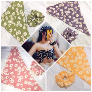 Badana 1 lớp (ib chọn mẫu)