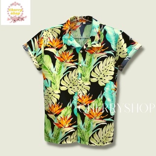 Áo gia đình, đồng phục nhóm, công ty du lịch