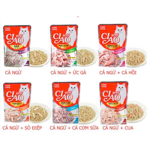 12 Gói pate Ciao Túi 60GR cho mèo, thức ăn cho mèo, pate cho mèo