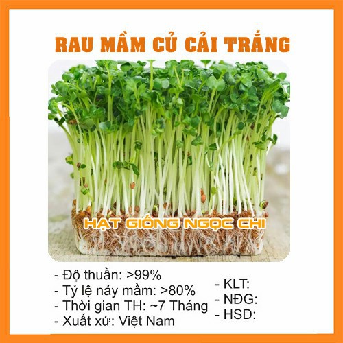 Hạt Giống Rau Mầm Củ Cải Trắng - 50Gr