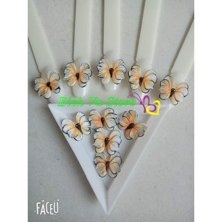 Hoa nỗi 4D, fantasy 12k/con bướm