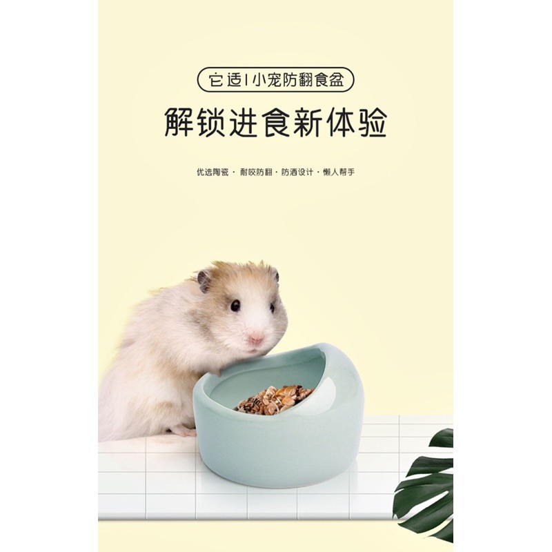 chén vòm trơn size lớn cho hamster/sóc/nhím/fat tail/dumbo/rat