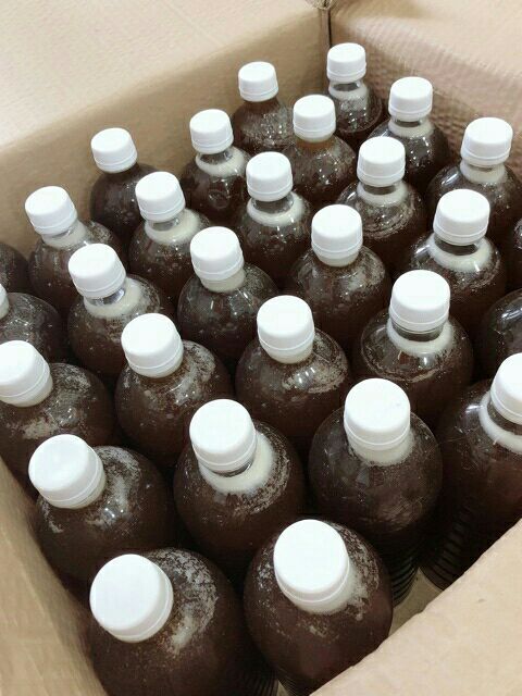 [MỚI] MẬT ONG NGUYÊN CHẤT HOA CÀ PHÊ TÂY NGUYÊN 1000ml date 2025