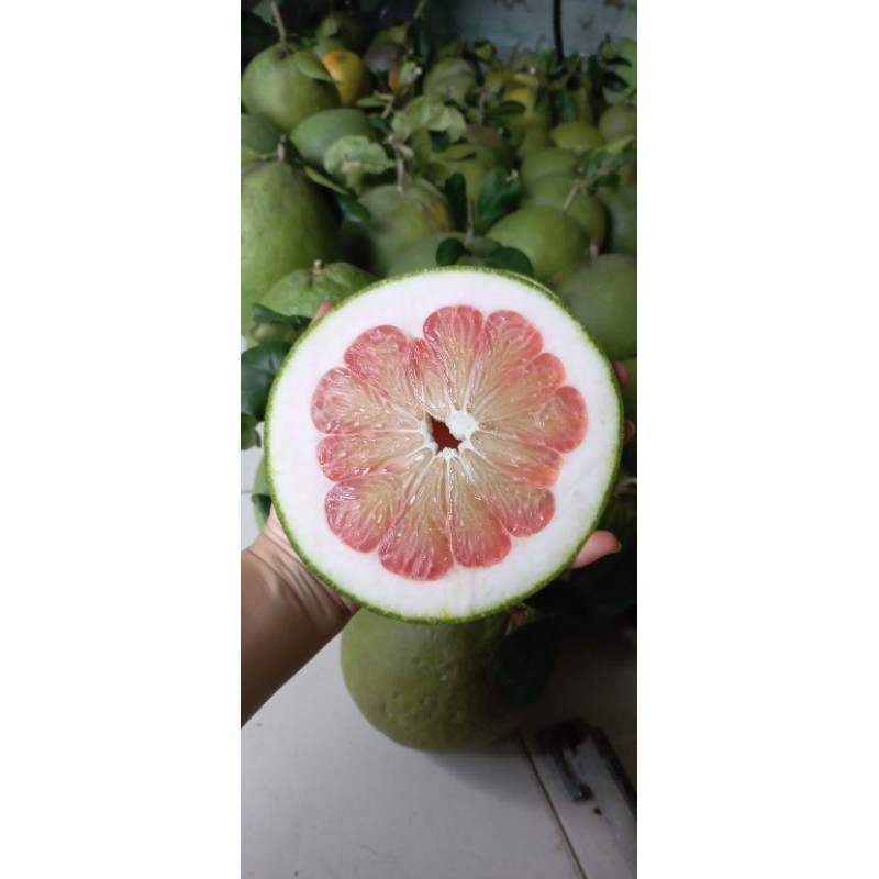 Combo 2 trái Bưởi Da Xanh Bến Tre (1kg~1,2kg/trái)