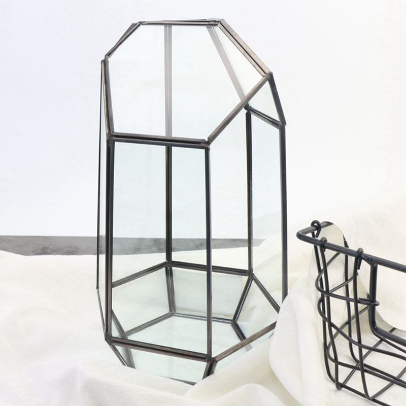 Chậu Kính Trồng Cây Kiểu Hình Học 9.4 Inch