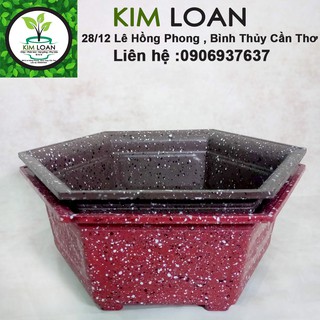 Combo 4 chậu lục giác nhựa cao cấp bành vân đá 32x12cm