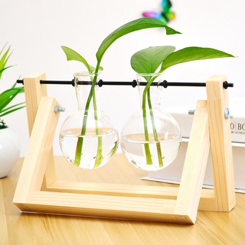 Chậu Hoa Trong Suốt Kèm Khung Gỗ Dùng Trang Trí Nhà Cửa
