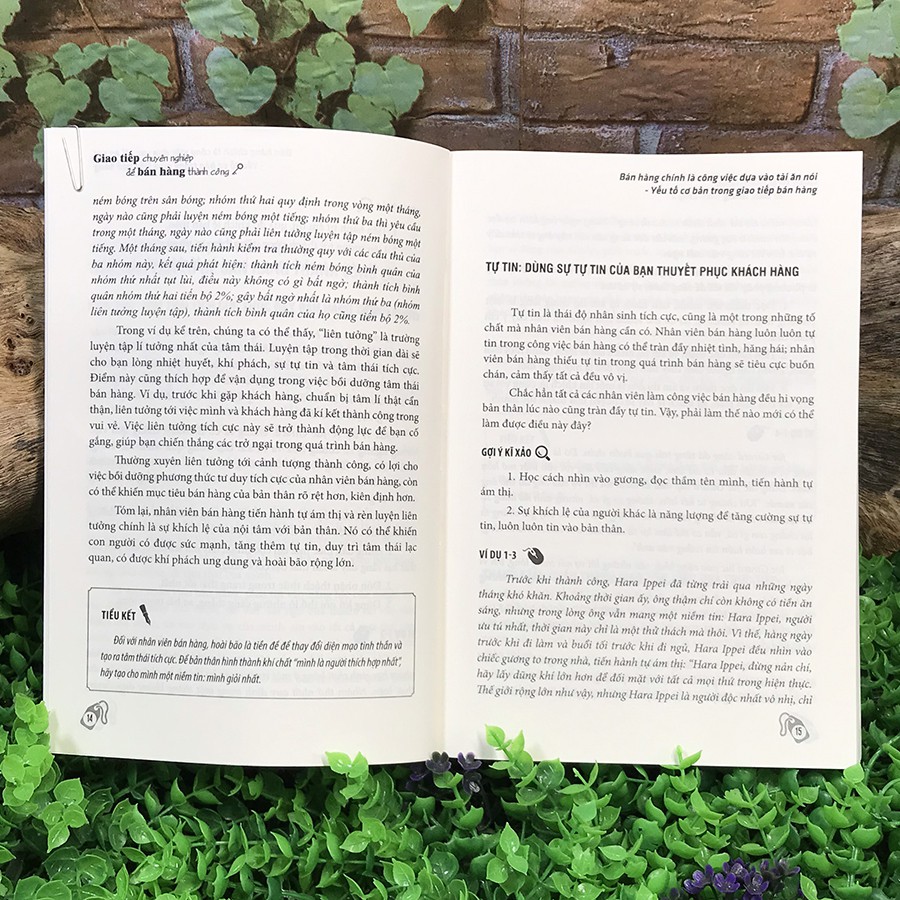 Sách - Giao Tiếp Chuyên Nghiệp Để Bán Hàng Thành Công | BigBuy360 - bigbuy360.vn
