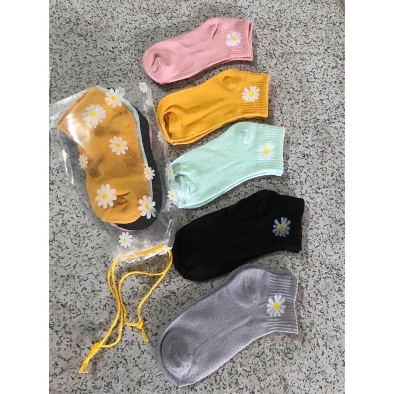 Set 10 Đôi Tất Cotton Hoa Cúc Siêu Hot Túi Rút