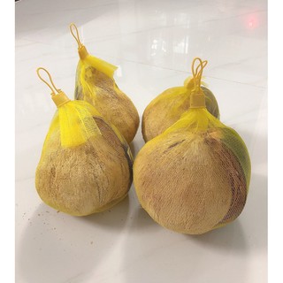 Dừa sáp đặc sản Trà Vinh