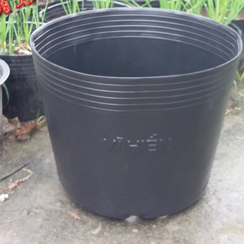 Sỉ 500 Chậu nhựa C9.A 21.5x17.5cm trồng cây ăn trái và hoa,bền 10 năm -77123