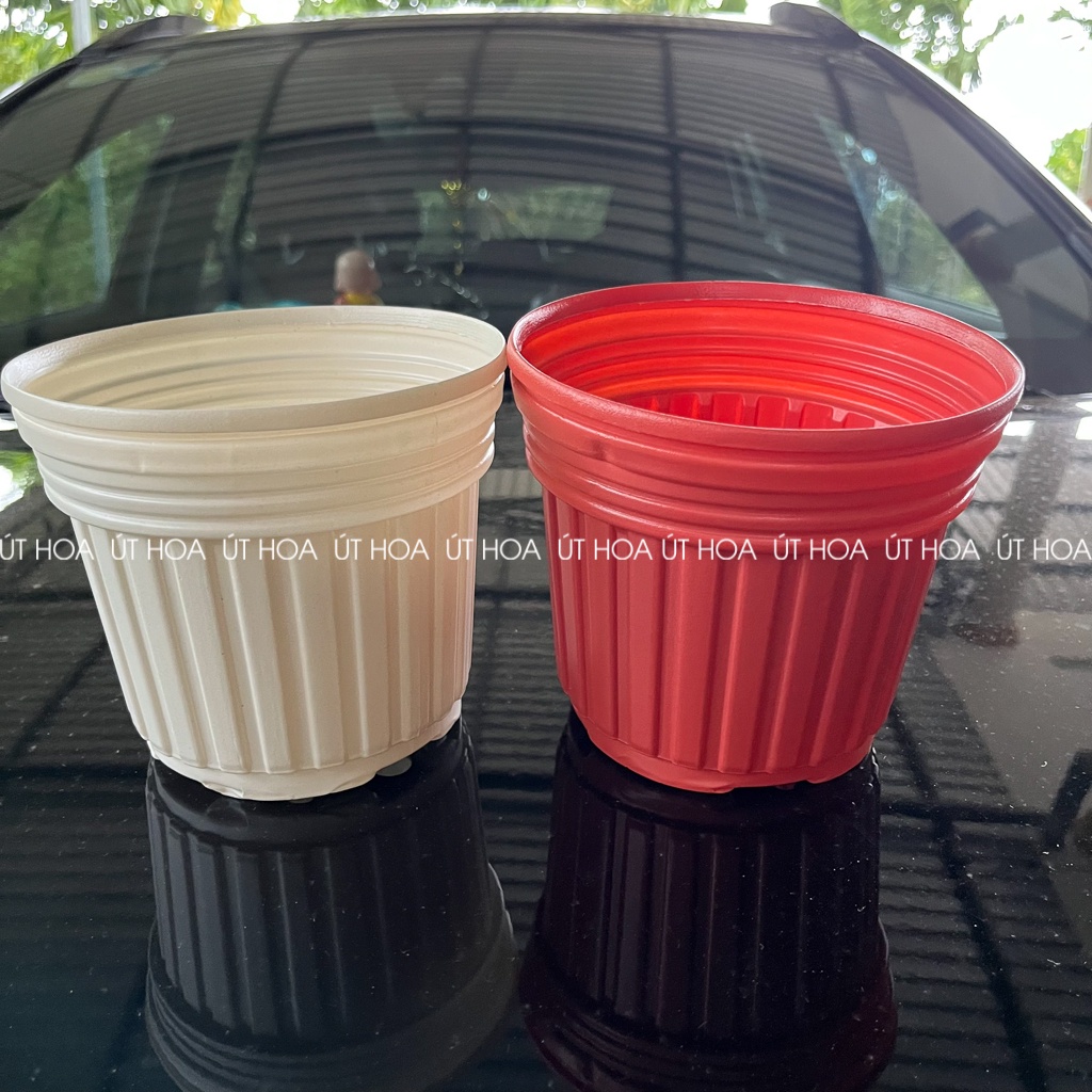 Chậu sọc QH 150x125 trồng hoa vạn thọ Tết loại dày