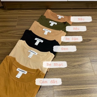 Áo thun basic
