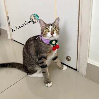 VÒNG CỔ LEN CHERRY CHO CHÓ MÈO