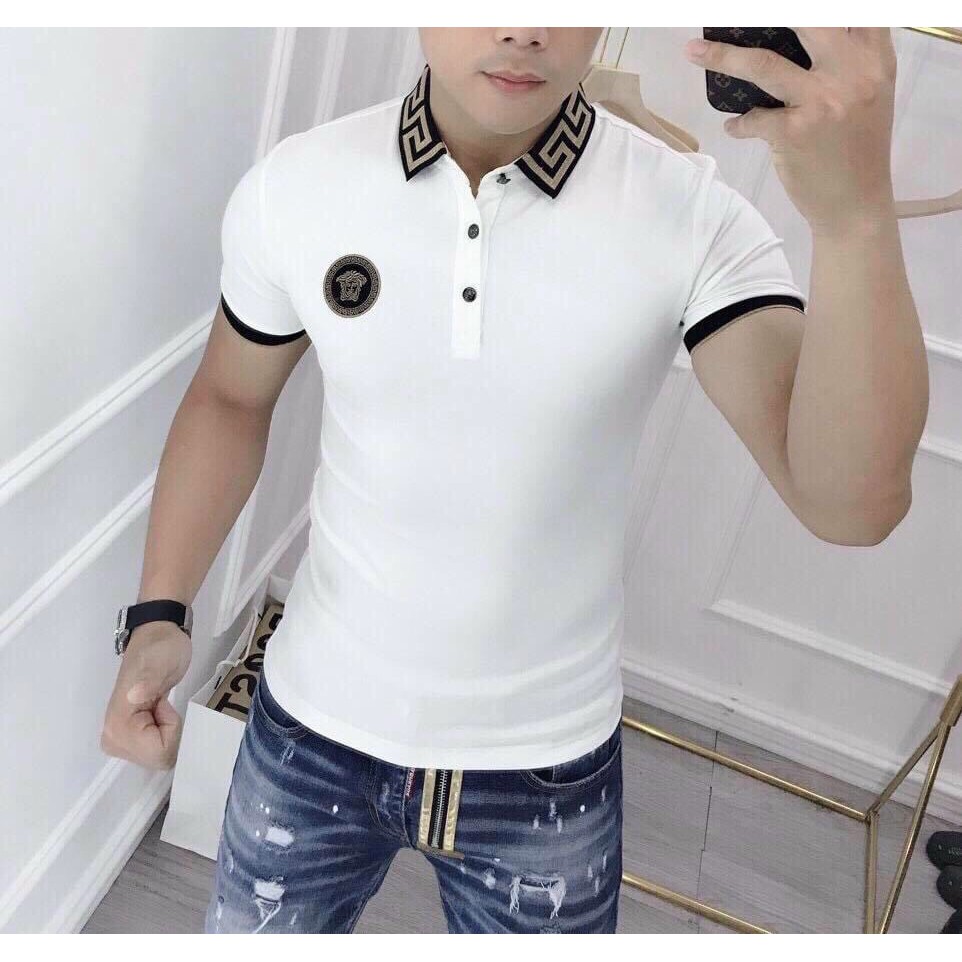 Áo thun cổ bẻ polo cao cấp vải thun cotton siêu co dãn hàng chuẩn shop Phuongnamshop20 kve54