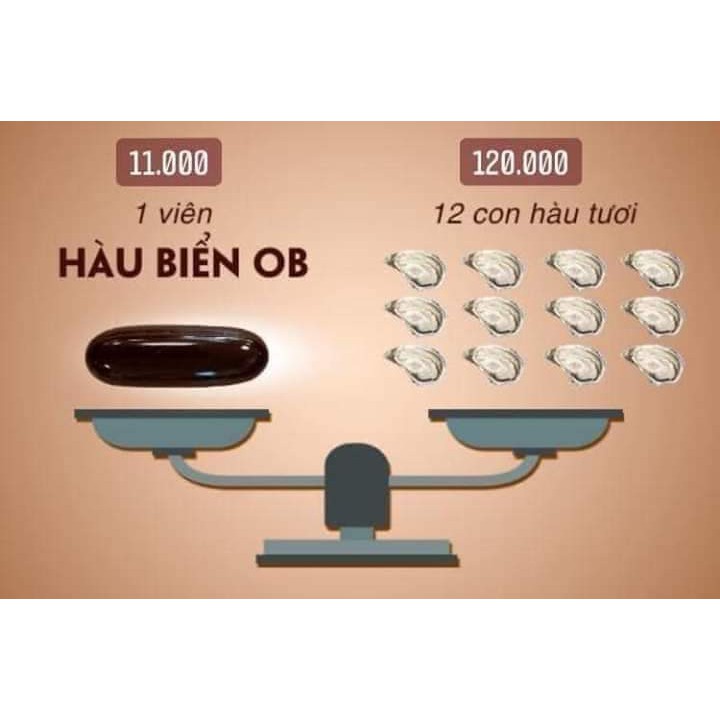 Combo 2 Hộp Hào Biển ob chính hãng 100 % | BigBuy360 - bigbuy360.vn