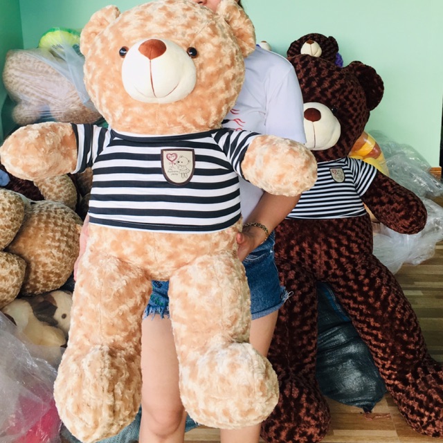 Gấu Bông Teddy khổ vải 1m cao 80cm