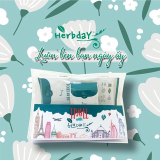 Combo Băng vệ sinh Hàn Quốc Thảo Dược Herbday