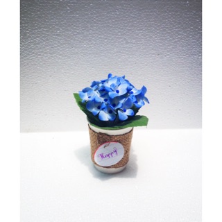 Chậu hoa Cẩm Tú Cầu đất sét