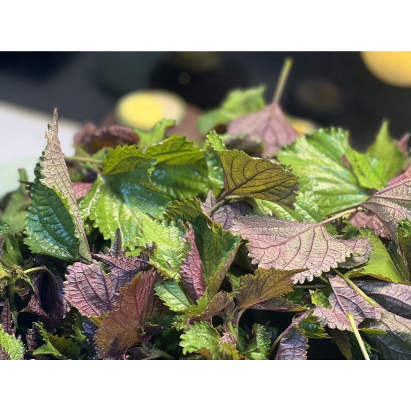 Lá tía tô sấy lạnh