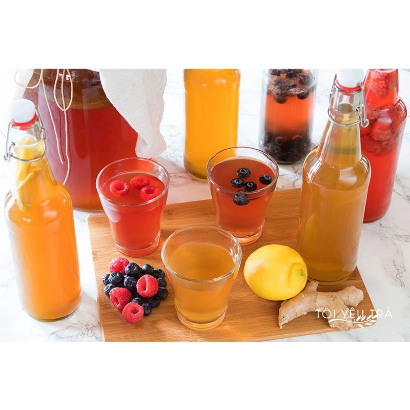 Combo Scoby Và Nước Mồi Làm Trà Kombucha - An Toàn, Tốt Cho Sức Khỏe 🔸 Anna Home