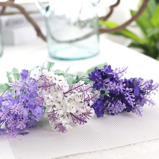 Hoa giả - Hoa Lavender