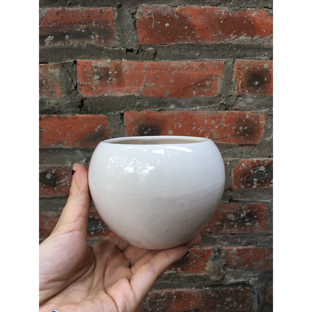 Chậu trồng cây cảnh trang trí - Chậu gốm trồng cây