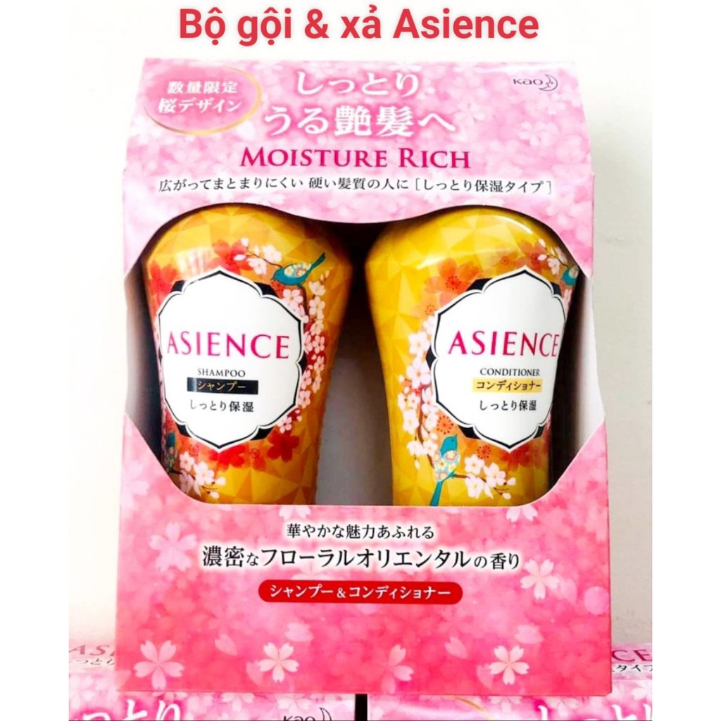 Bộ Dầu Gội Xả Asience 450ml - Nhật Bản