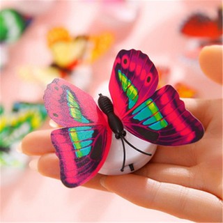 Đèn ngủ hình bướm dạ quang