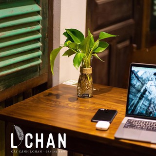 Lọ thủy tinh thắt eo, Lọ hoa thủy tinh trong (LH35)